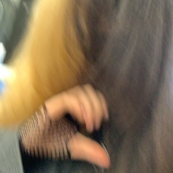 bellabitesyou